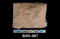 藏品(流紋岩)的圖片